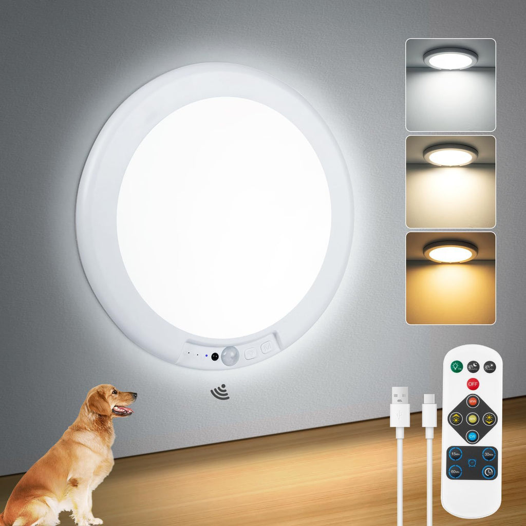 Human body induction ceiling light